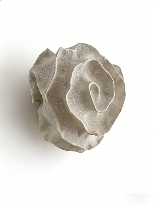 Modern Organic Cloud Wall Sconce