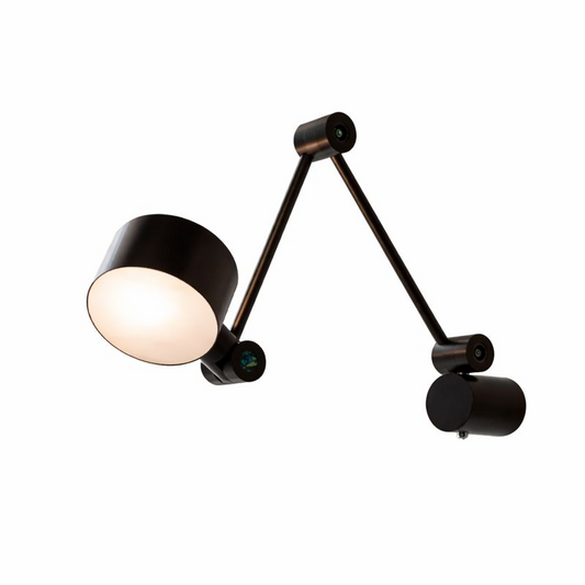 Multi-Angle Adjustable Double-Arm Wall Sconce