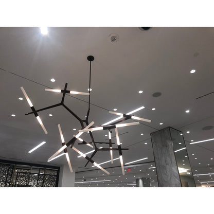 Hudson Branching Glass Cylinder Chandelier - Kavker -